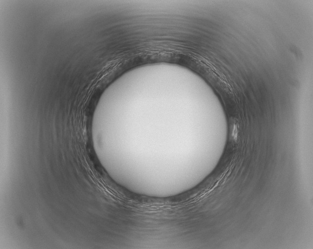 X0000116320771200912010943