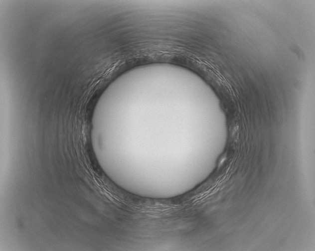 X0000116320772200912010943