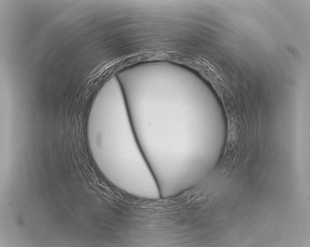 X0000116320773200912010943