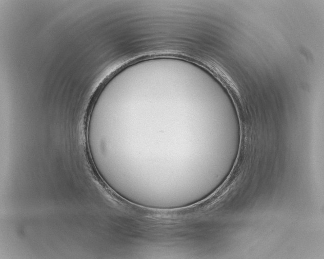 X0000116320789200912010943