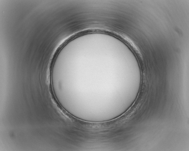 X0000116320791200912010943