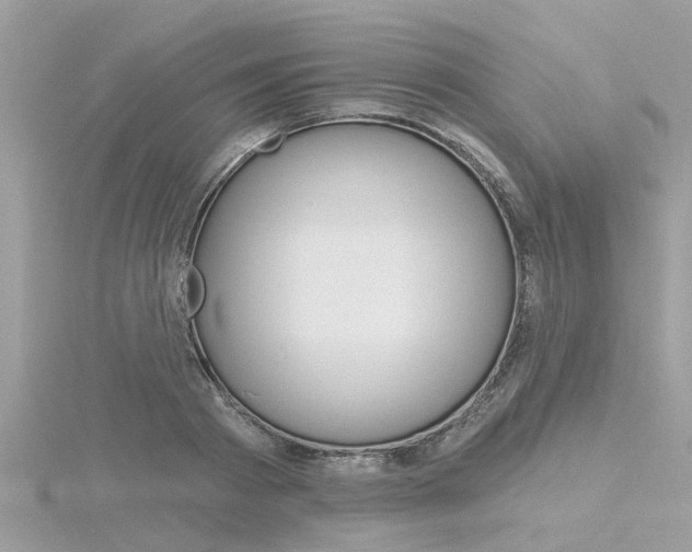 X0000116320793200912010943