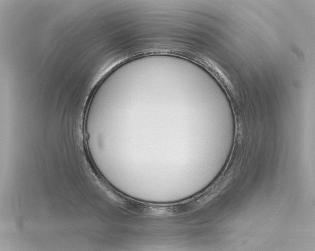 X0000116320794200912010943