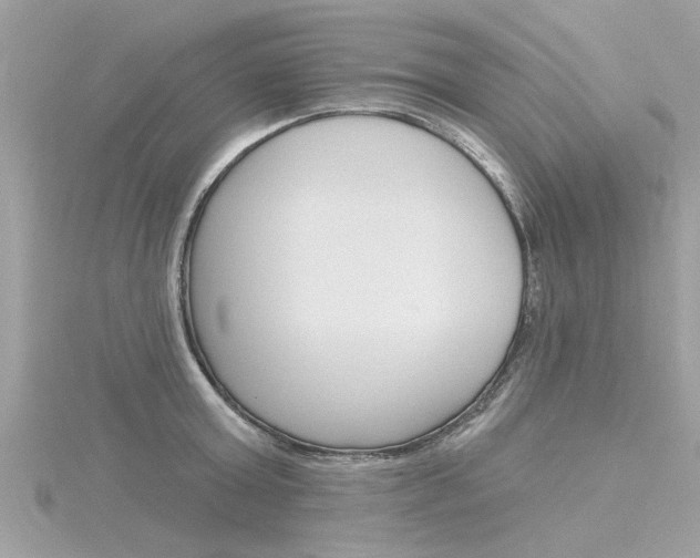 X0000116320803200912010943