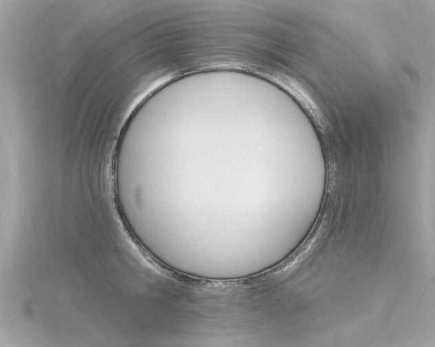 X0000116320806200912010943