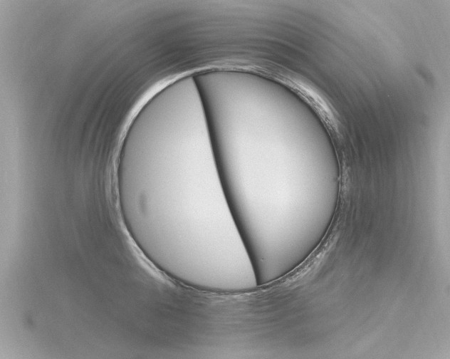 X0000116320808200912010943