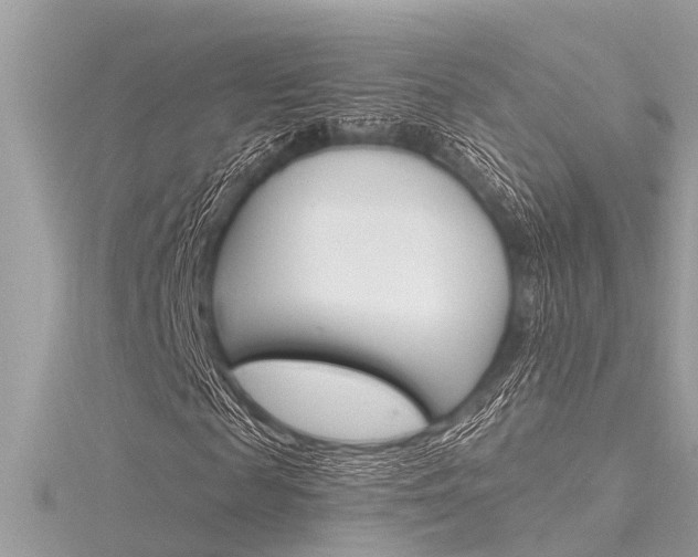 X0000116320817200912010942