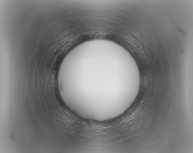 X0000116320818200912010942