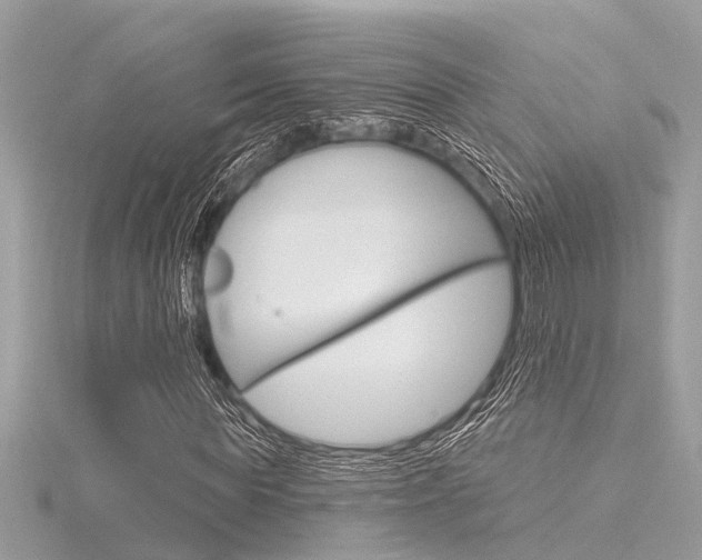 X0000116320819200912010942