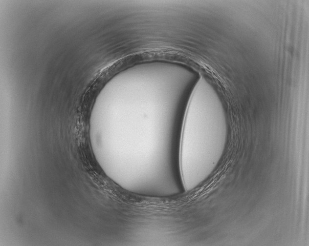 X0000116320822200912010942