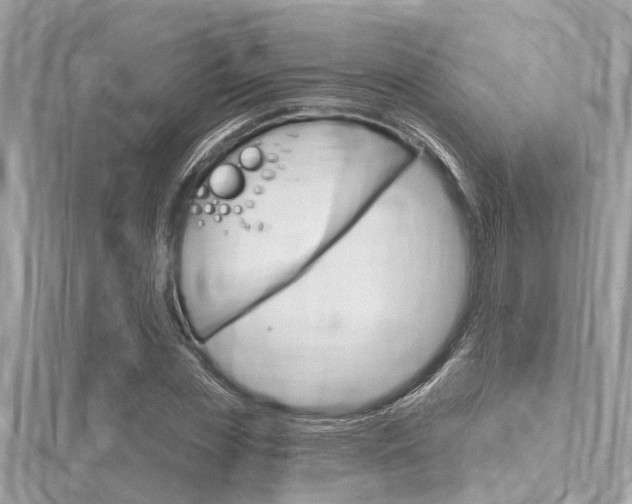 X0000116320829200912010942