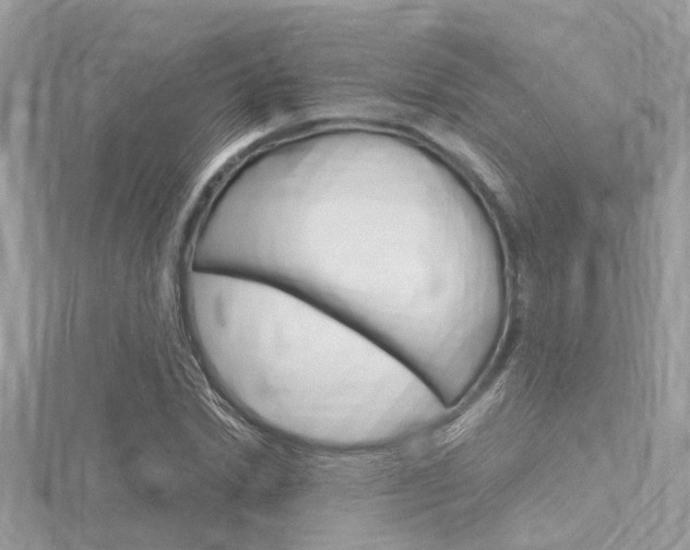 X0000116320830200912010942