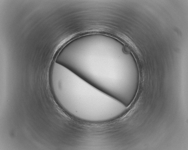 X0000116320834200912010942