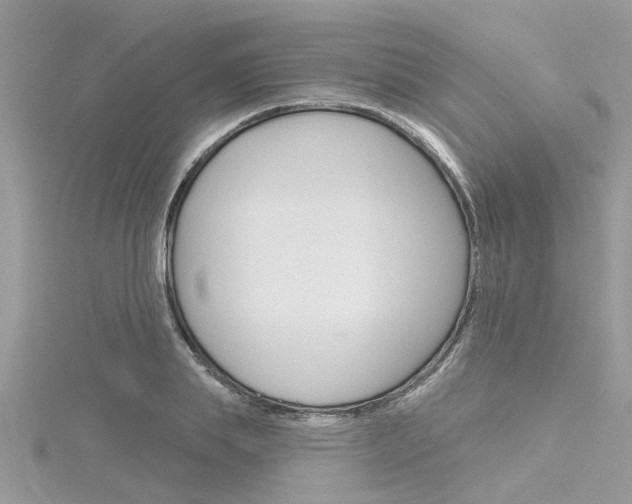 X0000116320839200912010942