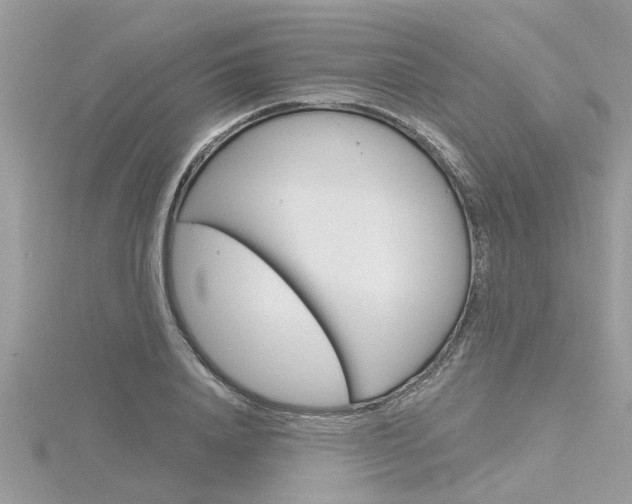 X0000116320840200912010942