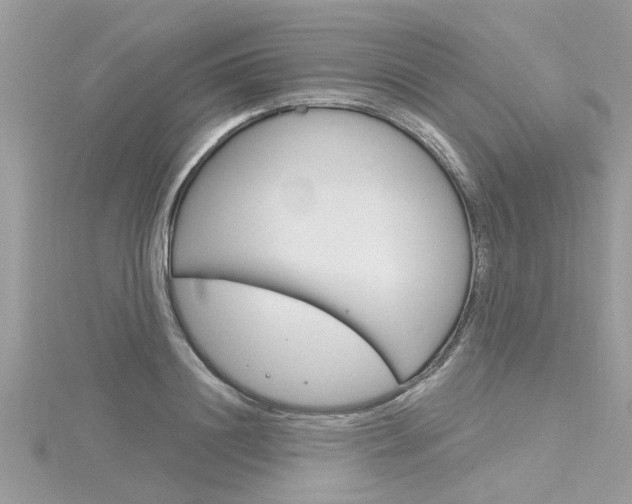 X0000116320844200912010942