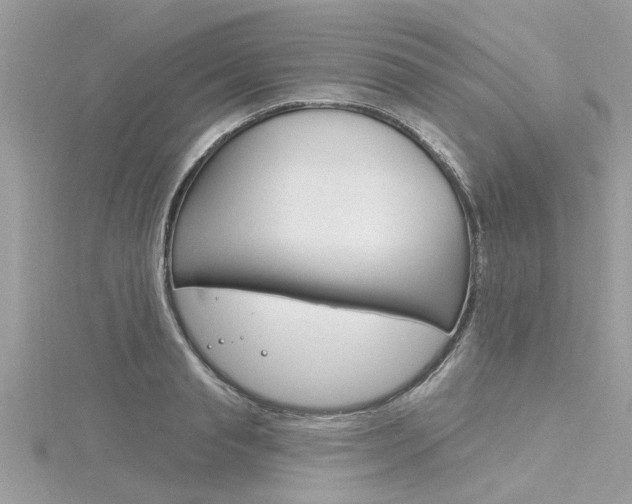 X0000116320845200912010942