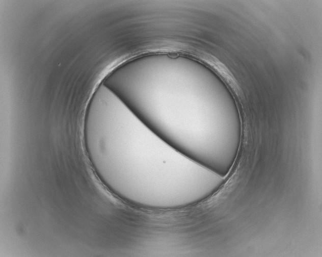 X0000116320850200912010942