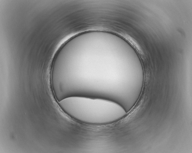 X0000116320854200912010942