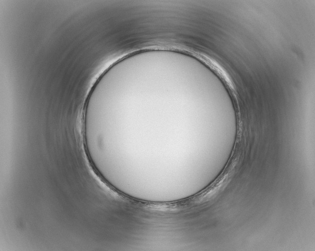 X0000116320855200912010942