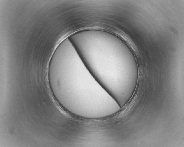 X0000116320858200912010943