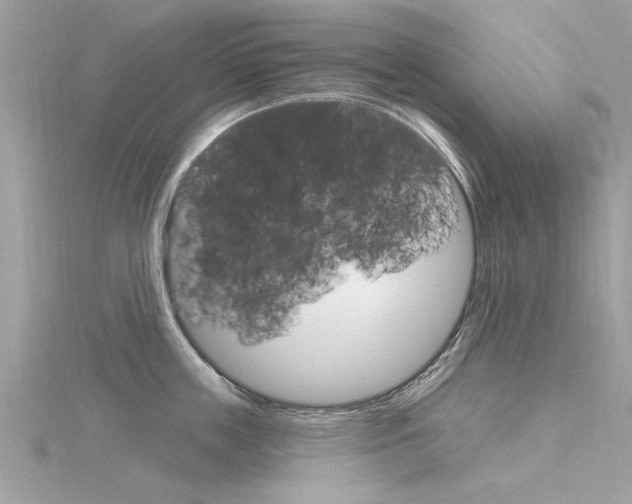 X0000116320859200912010943