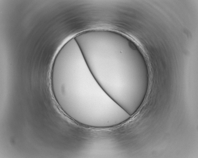 X0000116320864200912010943