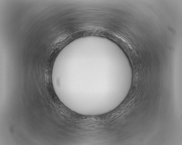X0000116320869200912010942