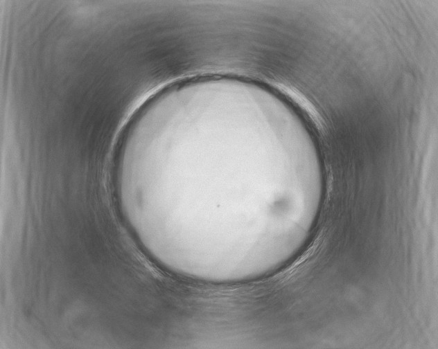 X0000116320878200912010942