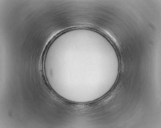 X0000116320883200912010942