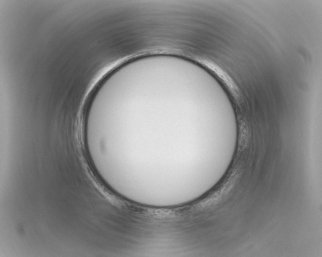 X0000116320886200912010942