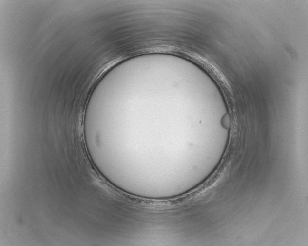 X0000116320889200912010942