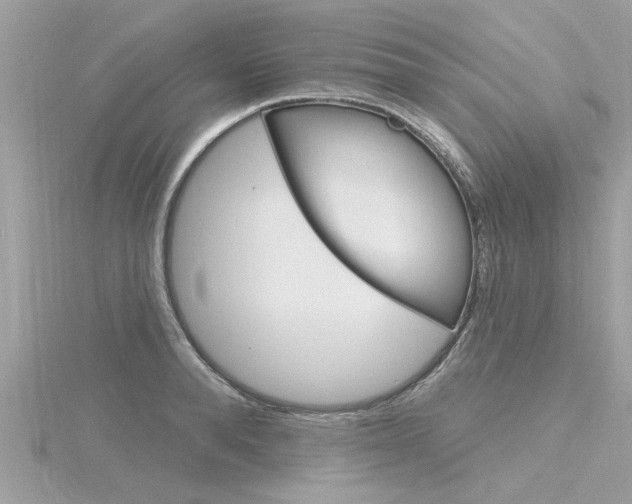 X0000116320896200912010942