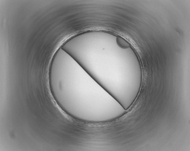 X0000116320898200912010942