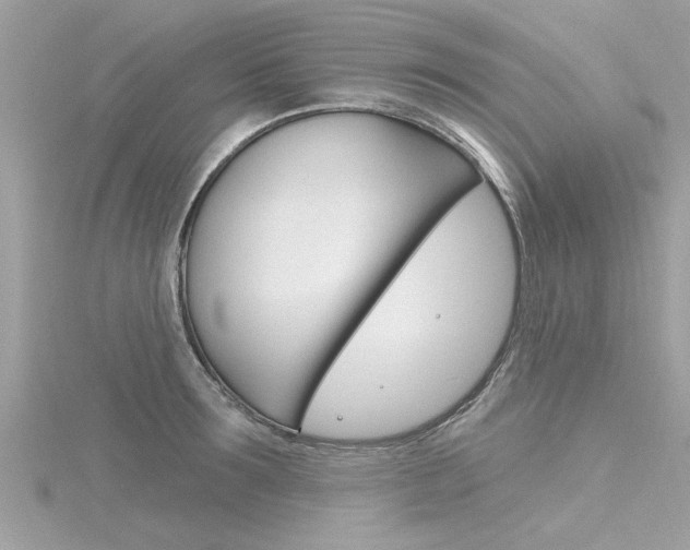 X0000116320899200912010942