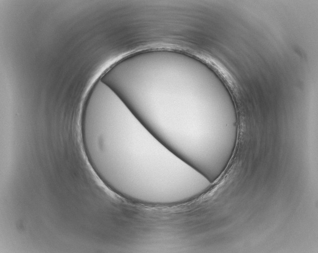 X0000116320902200912010942