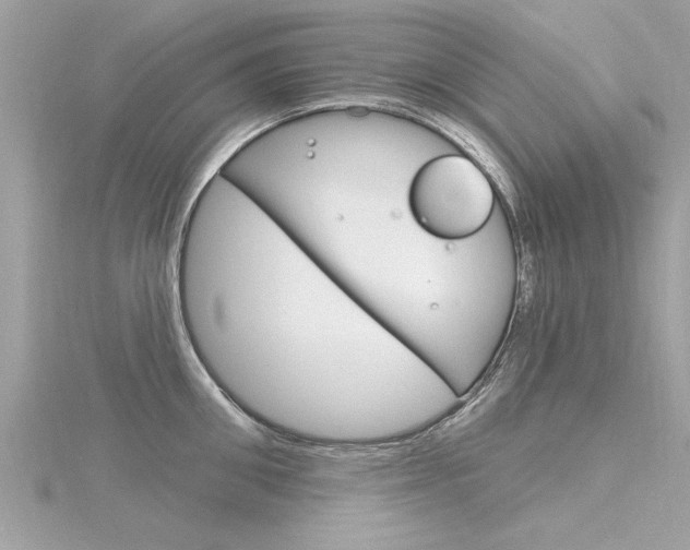X0000116320906200912010941