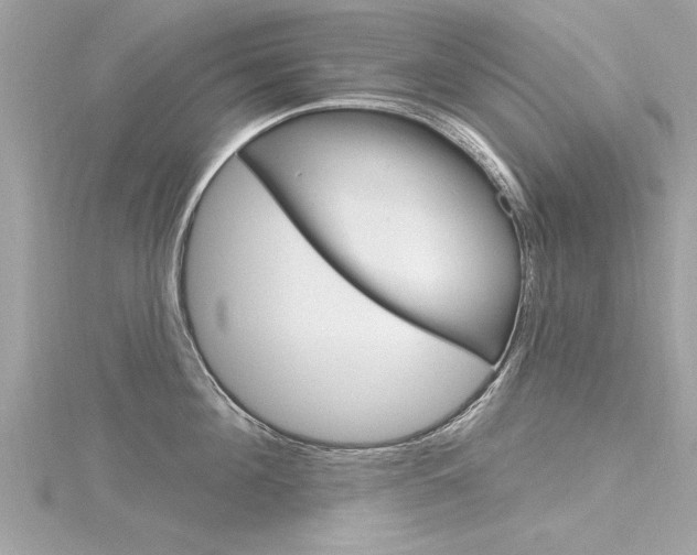 X0000116320908200912010941