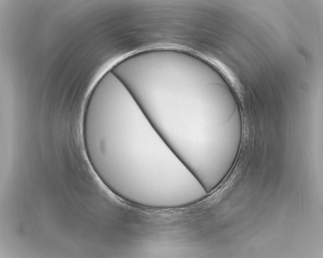X0000116320910200912010941