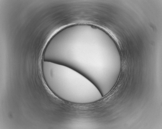 X0000116320911200912010941