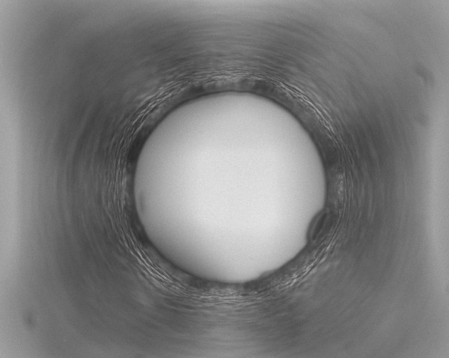 X0000116320914200912010941