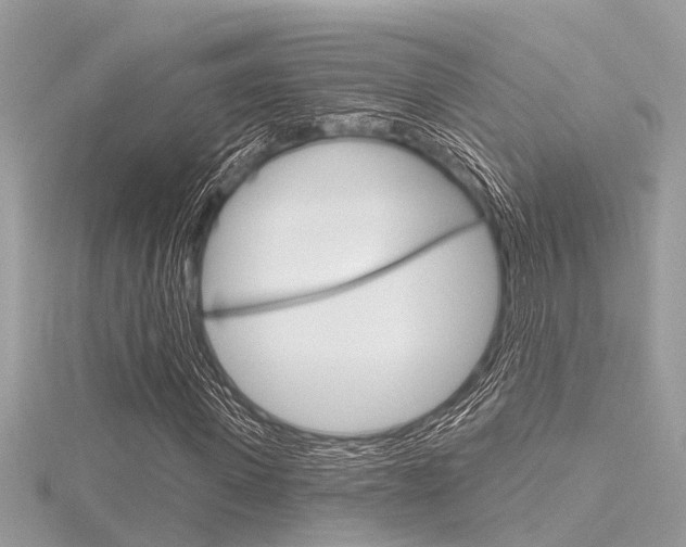 X0000116320915200912010941
