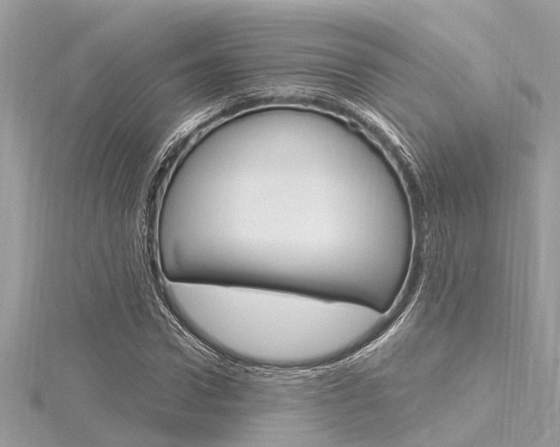X0000116320922200912010941