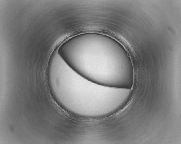X0000116320930200912010941