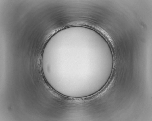 X0000116320937200912010941