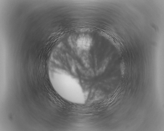 X0000116320962200912010941