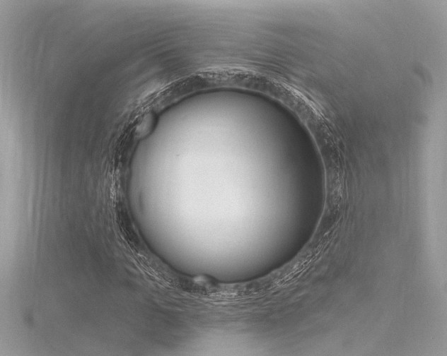 X0000116320965200912010941