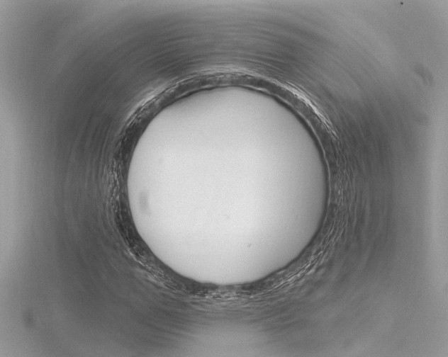 X0000116320967200912010941