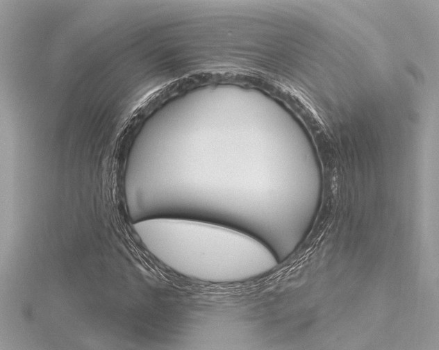 X0000116320968200912010941