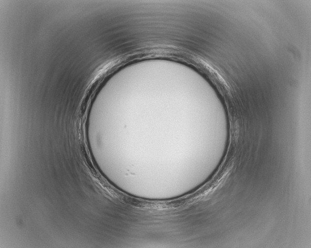 X0000116320970200912010941